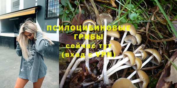 кокс Абаза