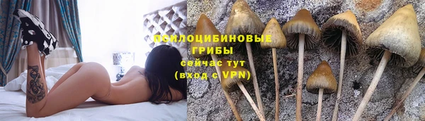 МДПВ Новозыбков